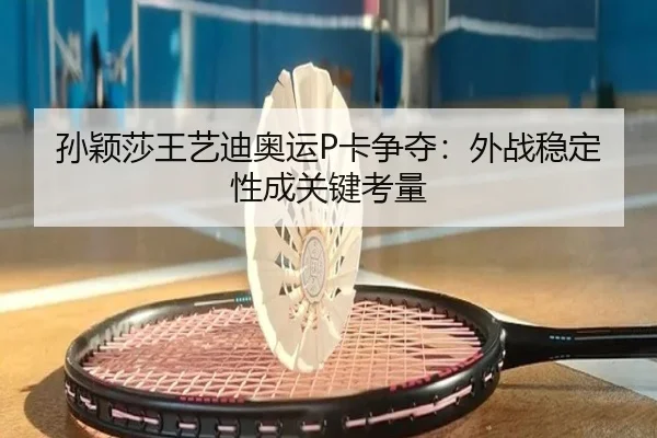 sun-ying-sha-wang-yi-di-ao-yun-ka-zheng-duo-wai-zhan-wen-ding-xing-cheng-guan-jian-kao-liang-2-473.jpg