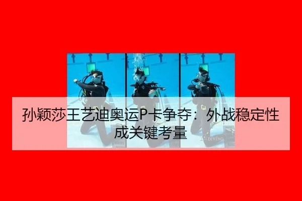 sun-ying-sha-wang-yi-di-ao-yun-ka-zheng-duo-wai-zhan-wen-ding-xing-cheng-guan-jian-kao-liang-3-413.jpg