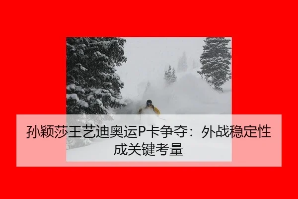孙颖莎王艺迪奥运P卡争夺：外战稳定性成关键考量