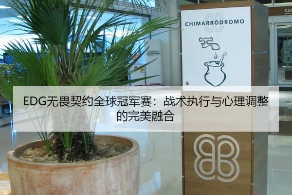 EDG无畏契约全球冠军赛：战术执行与心理调整的完美融合