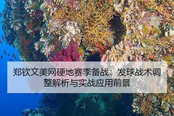 郑钦文美网硬地赛季备战：发球战术调整解析与实战应用前景